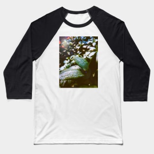 Morning Dew Baseball T-Shirt